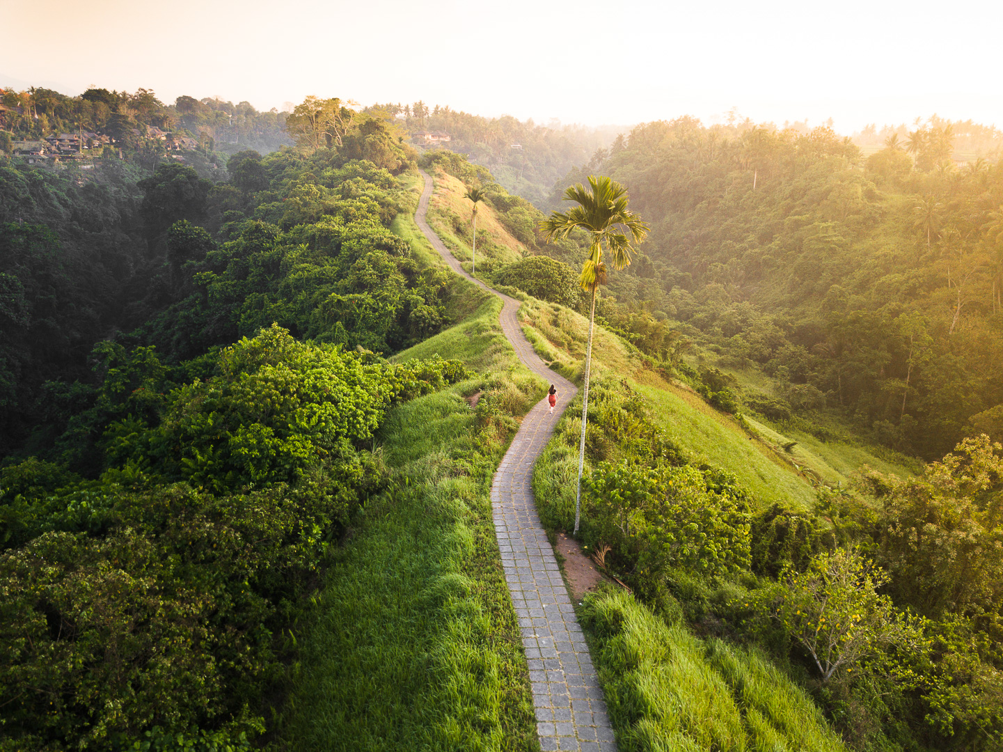 Ubud Tour 3