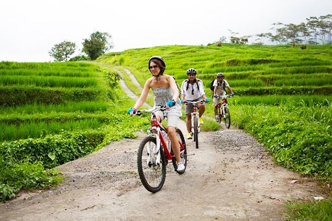 Cycling Tour